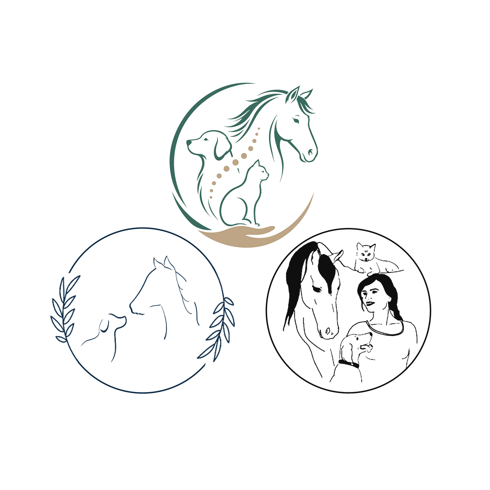 tierphysioteam-fulda.de Logo